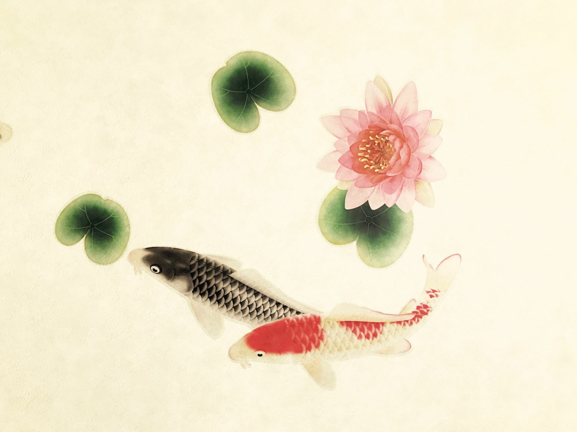 Kyoyado Kurumian *